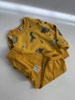 دایناسوری رایکو - Image 4