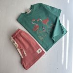 هورس چاپی - Image 7